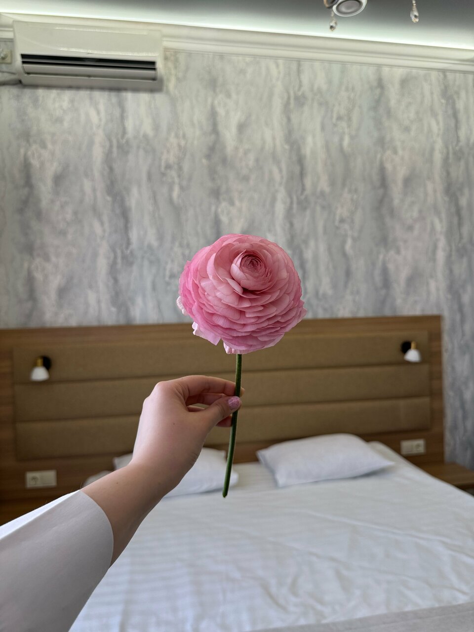 Гостиница Астория Волгоград-129