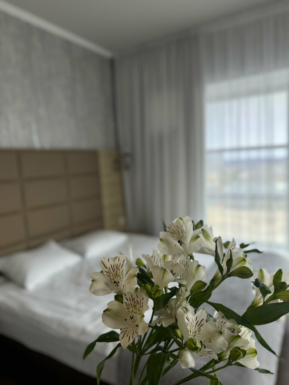 Гостиница Астория Волгоград-64