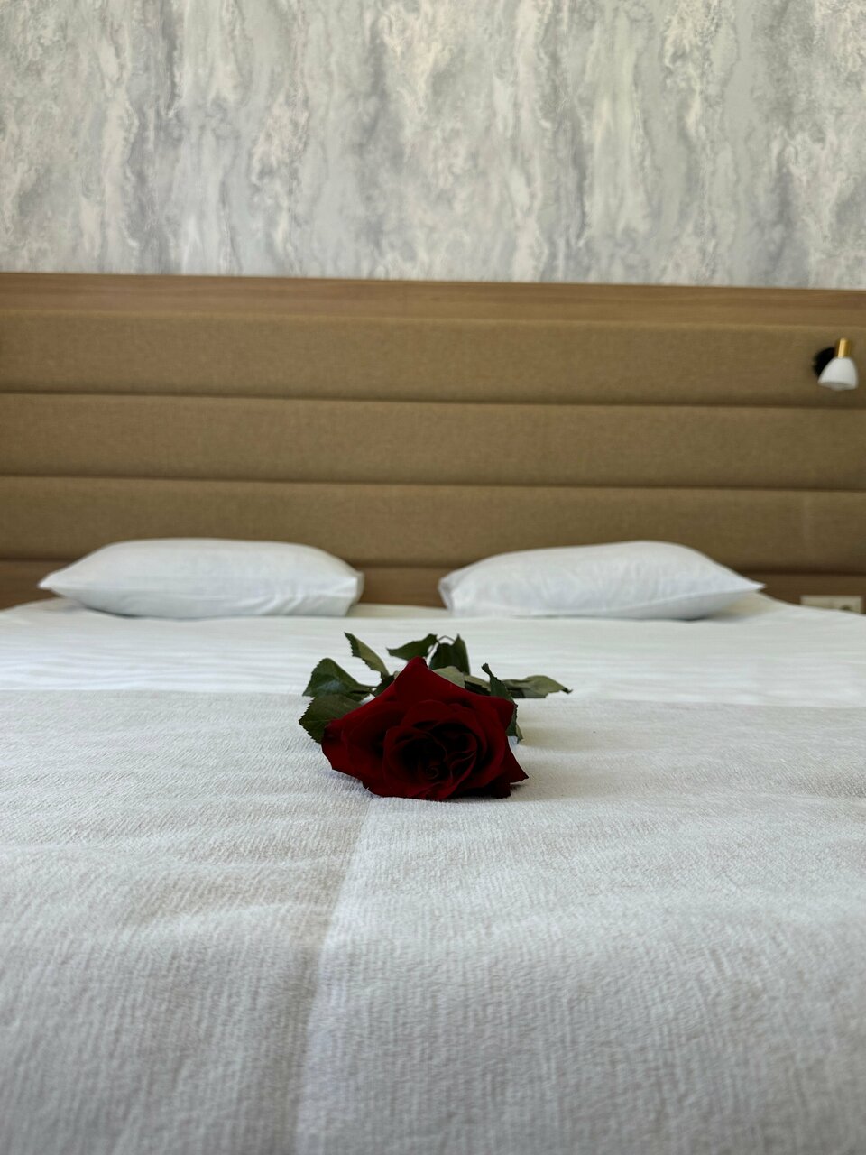 Гостиница Астория Волгоград-73