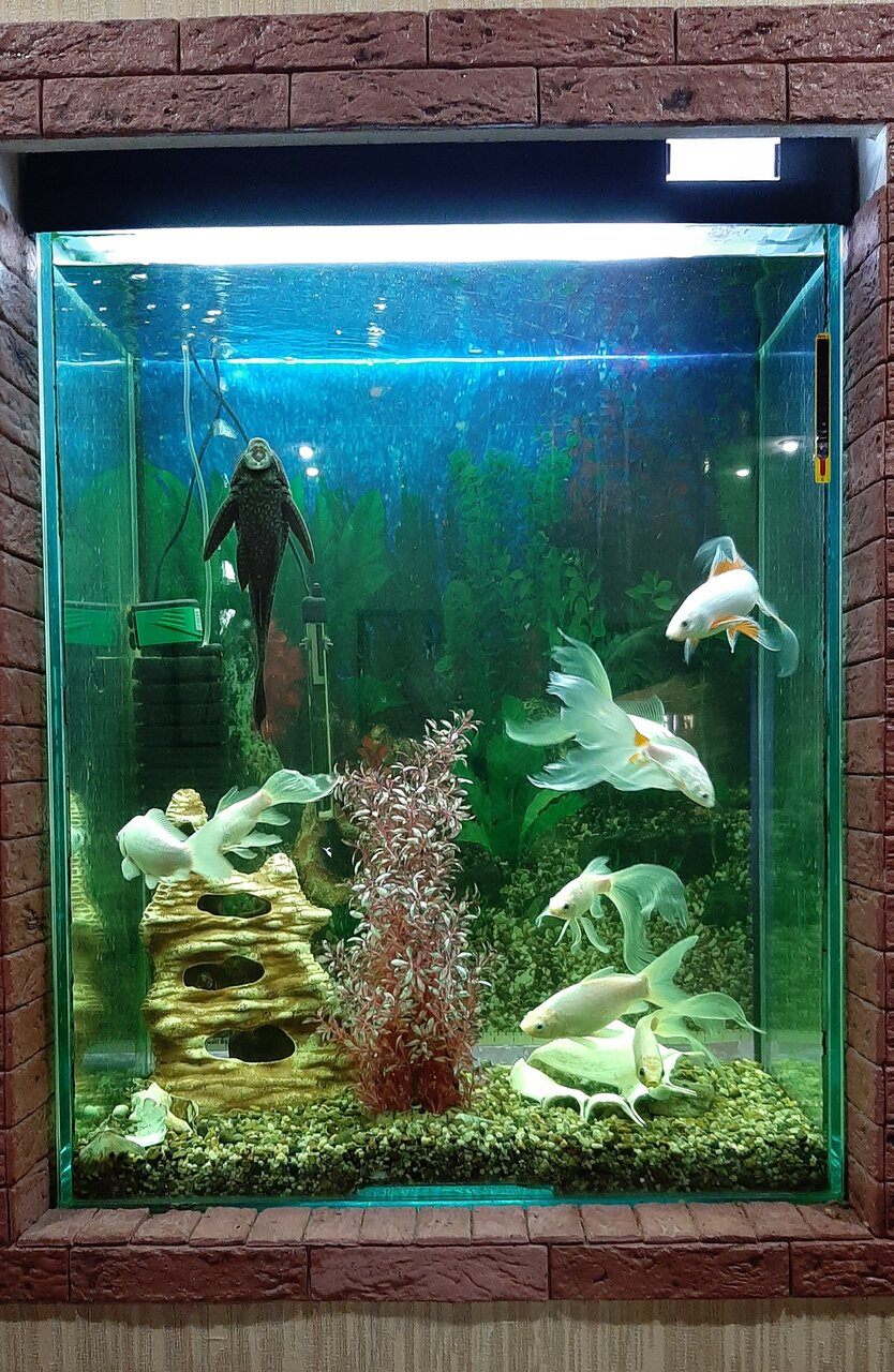 Гостиница Астория Волгоград-112