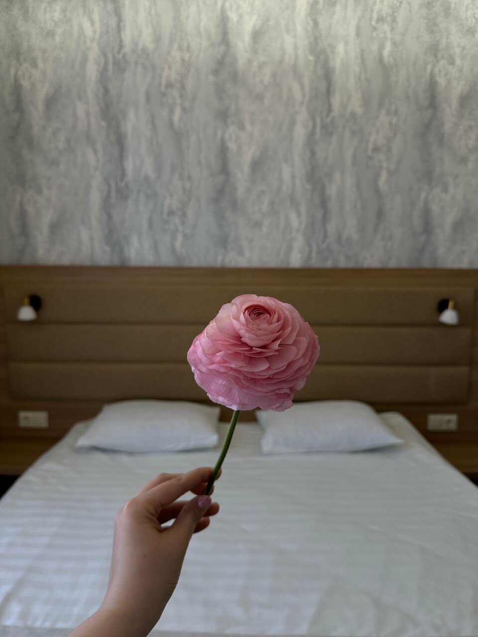 Гостиница Астория Волгоград-55