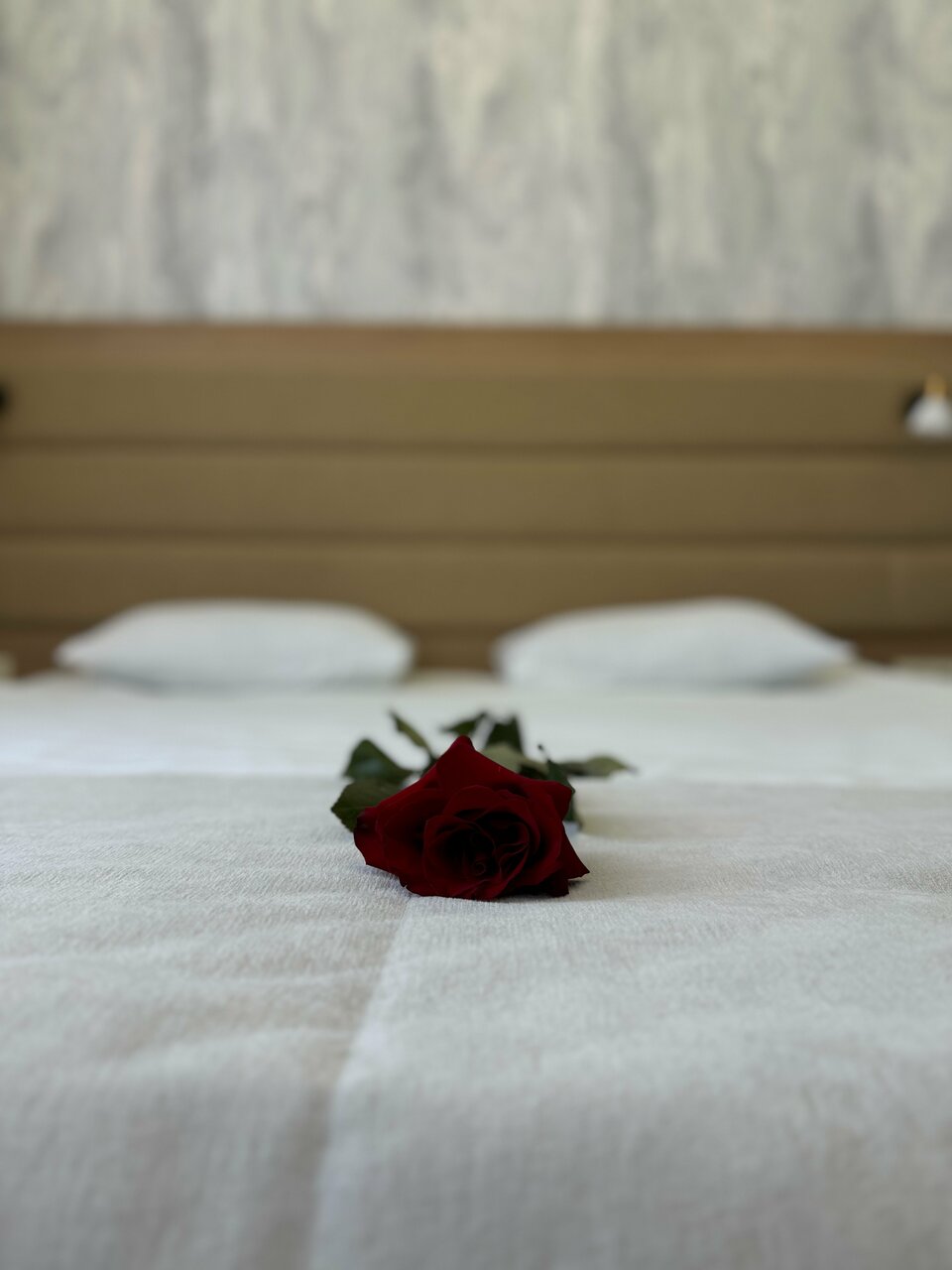 Гостиница Астория Волгоград-116