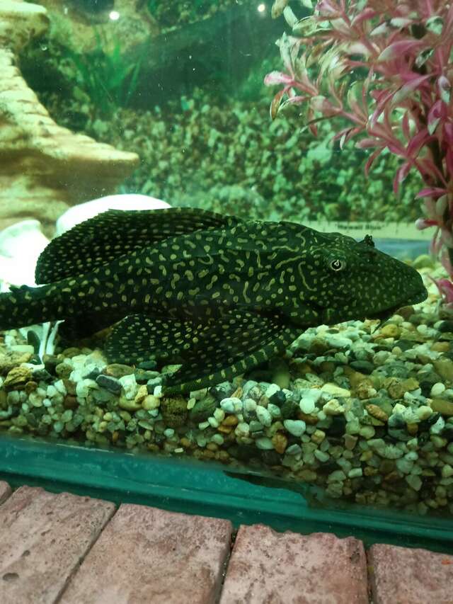 Гостиница Астория Волгоград-83