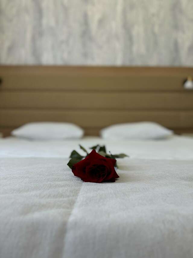 Гостиница Астория Волгоград-115